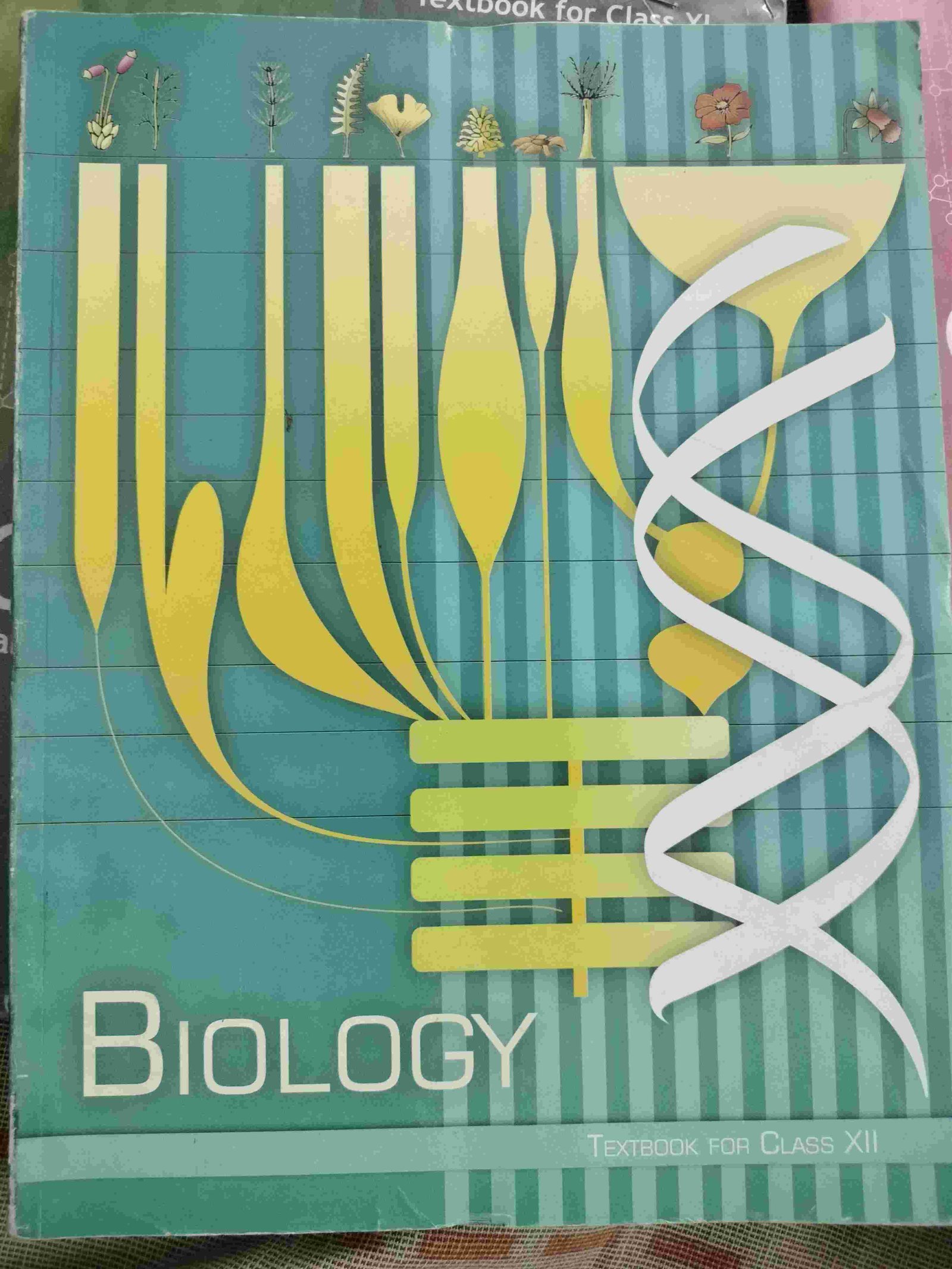 12 ncert biology - Second Hand - Bookaao