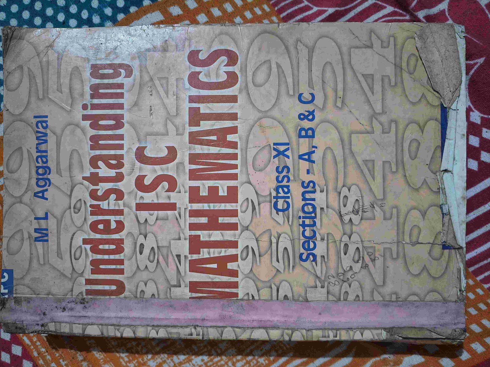 Understanding mathematics