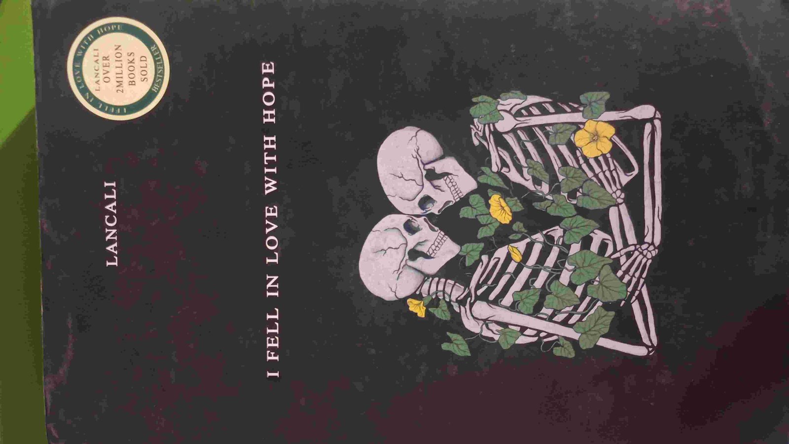 I fell in love with hope (Novel)