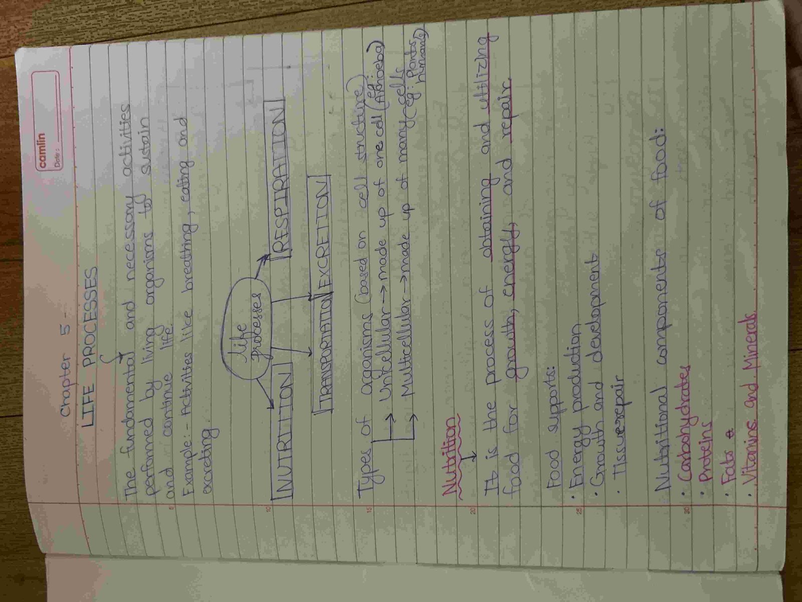 SCIENCE CLASS 10 BIOLOGY IMP NOTES