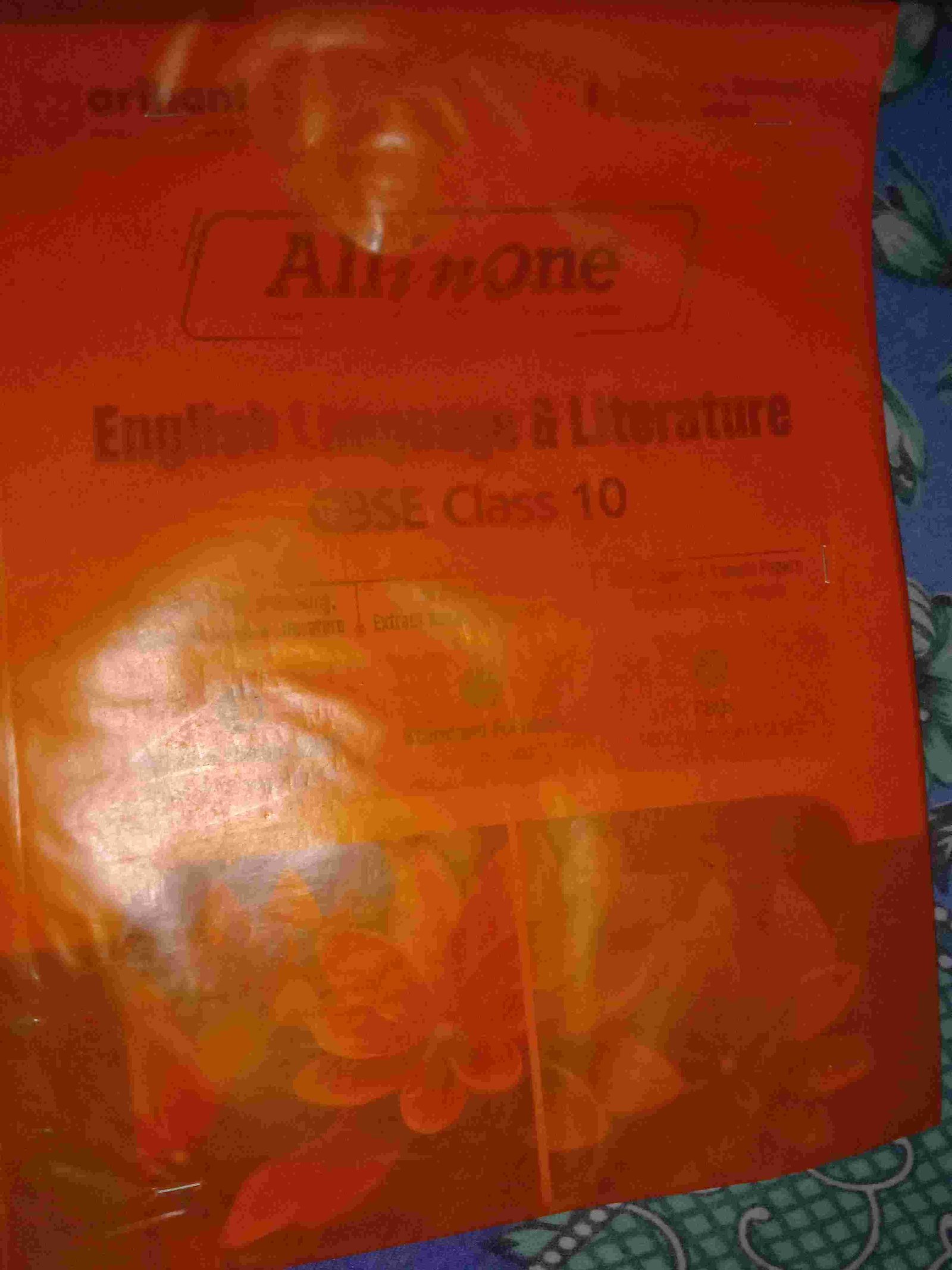 ALL' In ONE ENGLISH CLASS 10