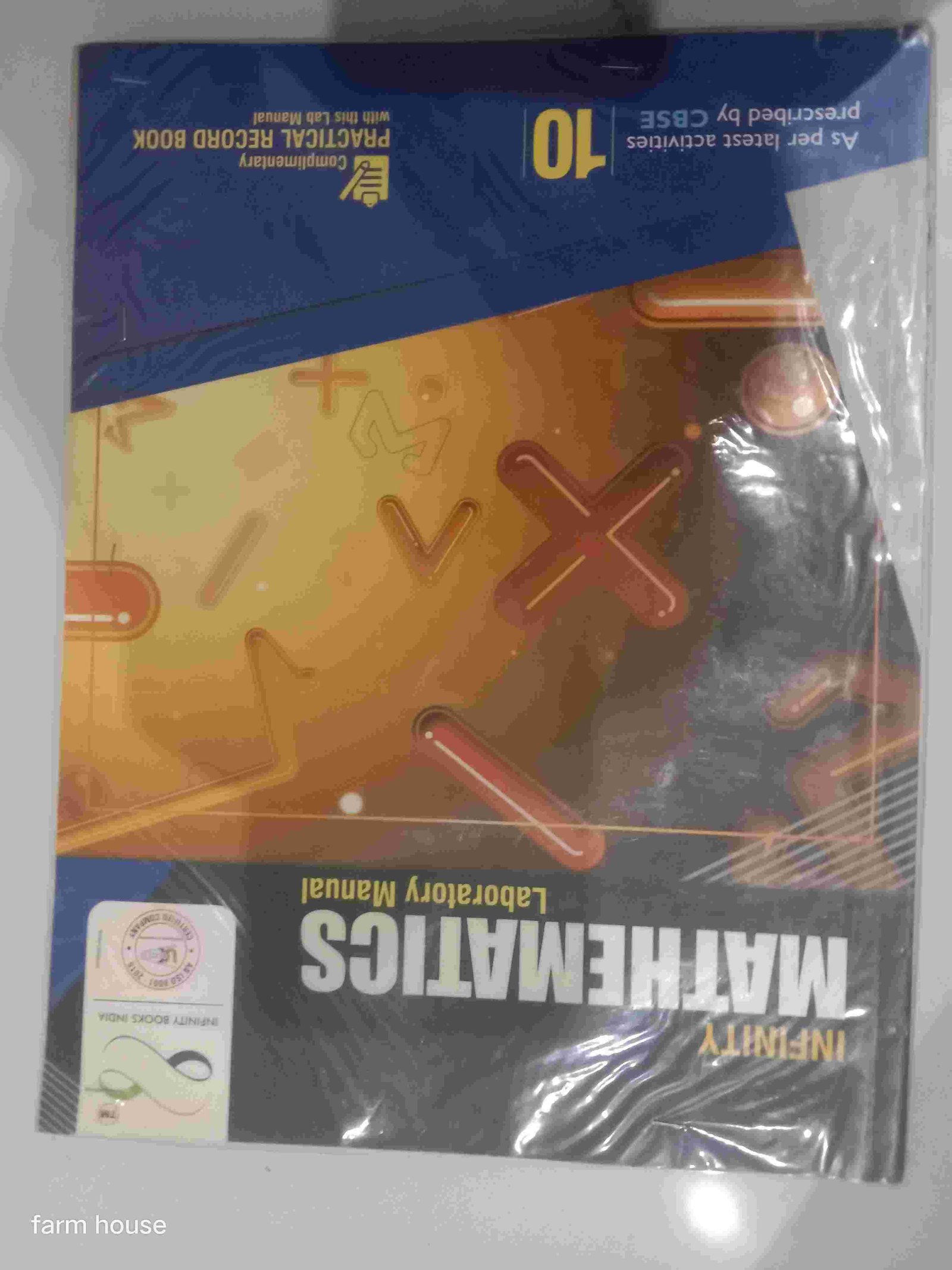 Infinity mathematics laboratory manual