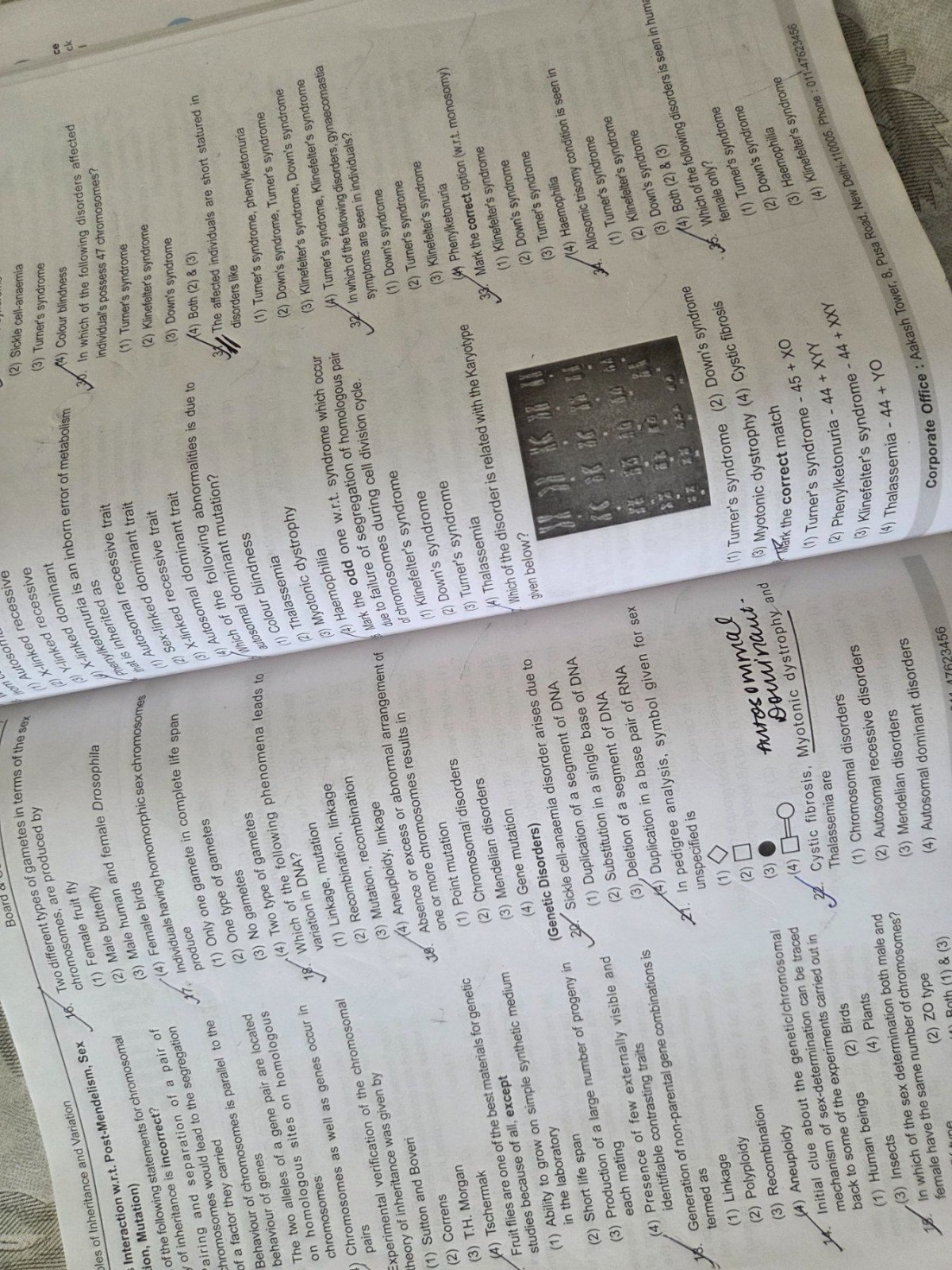 Photo 3