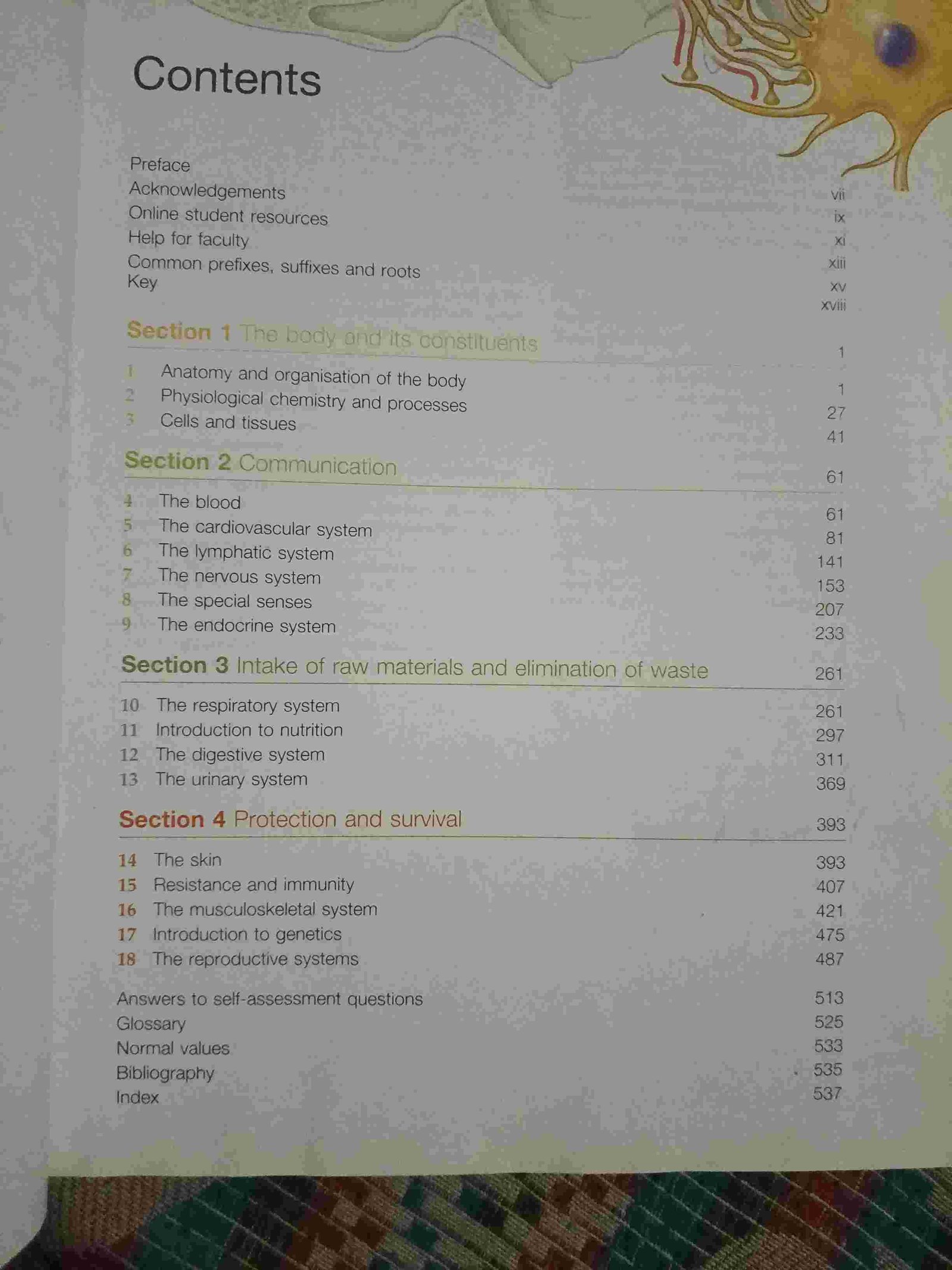 Anatomy and physiology book - 2nd Hand Book - Bookaao
