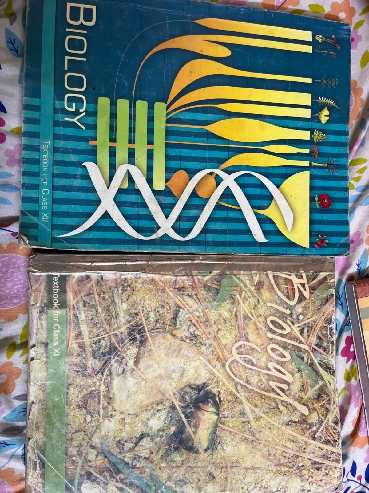 Biology ncert 11 and 12 th - Second Hand - Bookaao