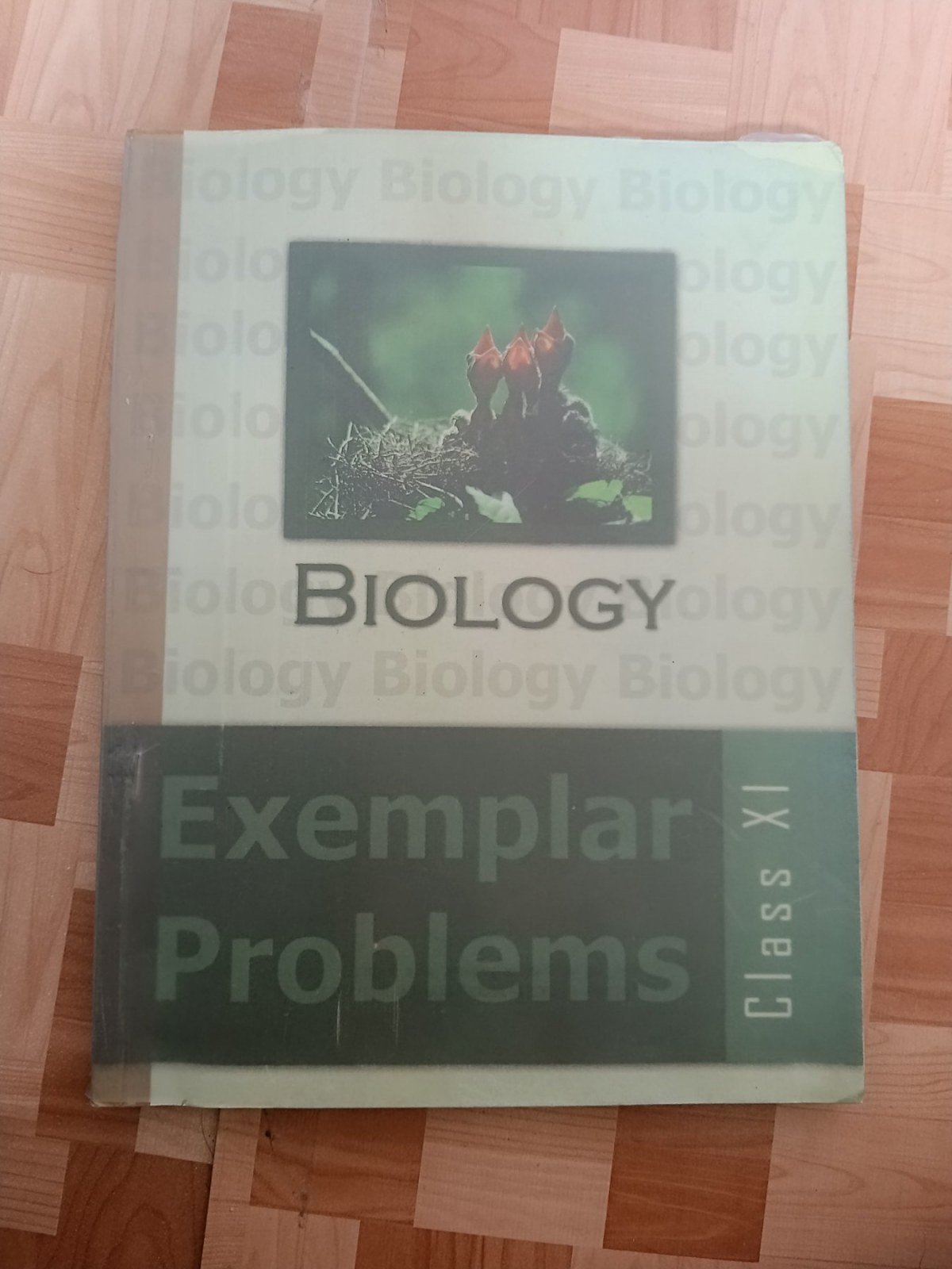 Biology NCERT exemplar class 11 - Second Hand - Bookaao