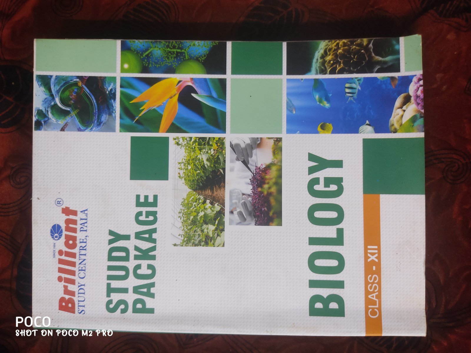 Brilliant Pala Biology +2 - Second Hand - Bookaao