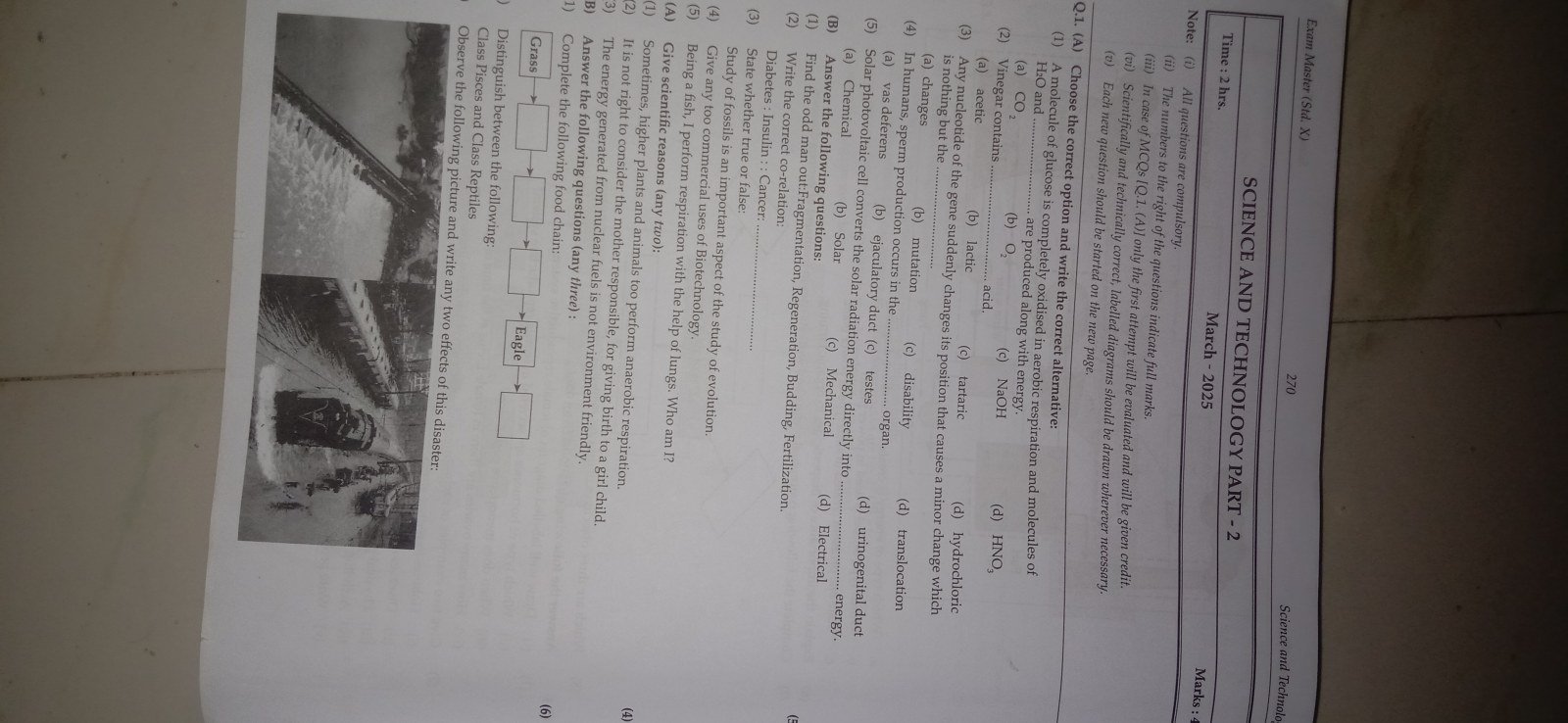 Photo 2