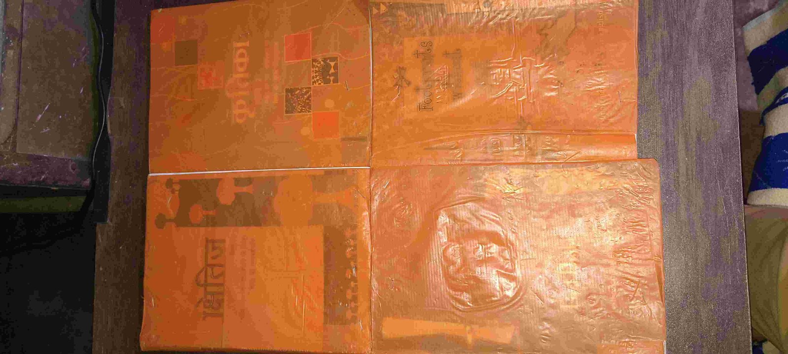 Class 10th Hindi-English books CBSE NCERT Shiteej - Second Hand - Bookaao