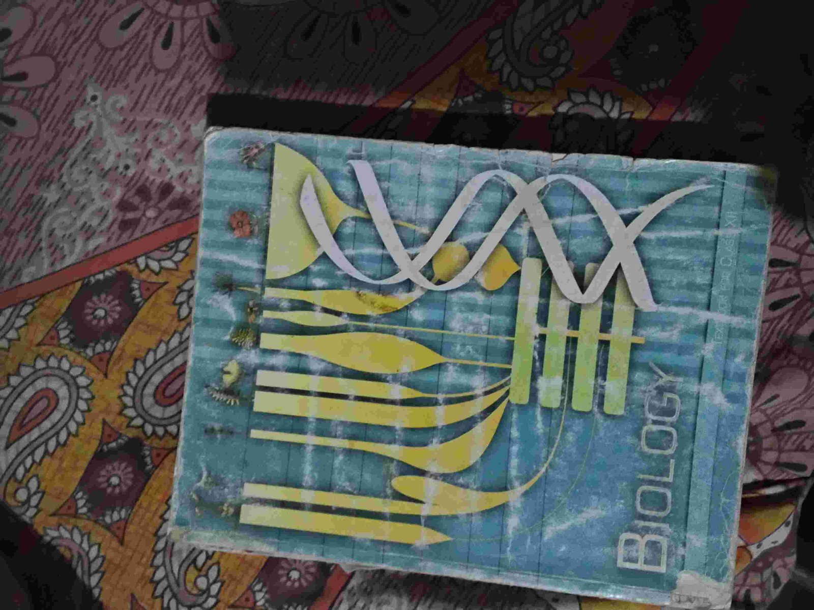 Class 11 and 12 biology ncert book - Second Hand - Bookaao