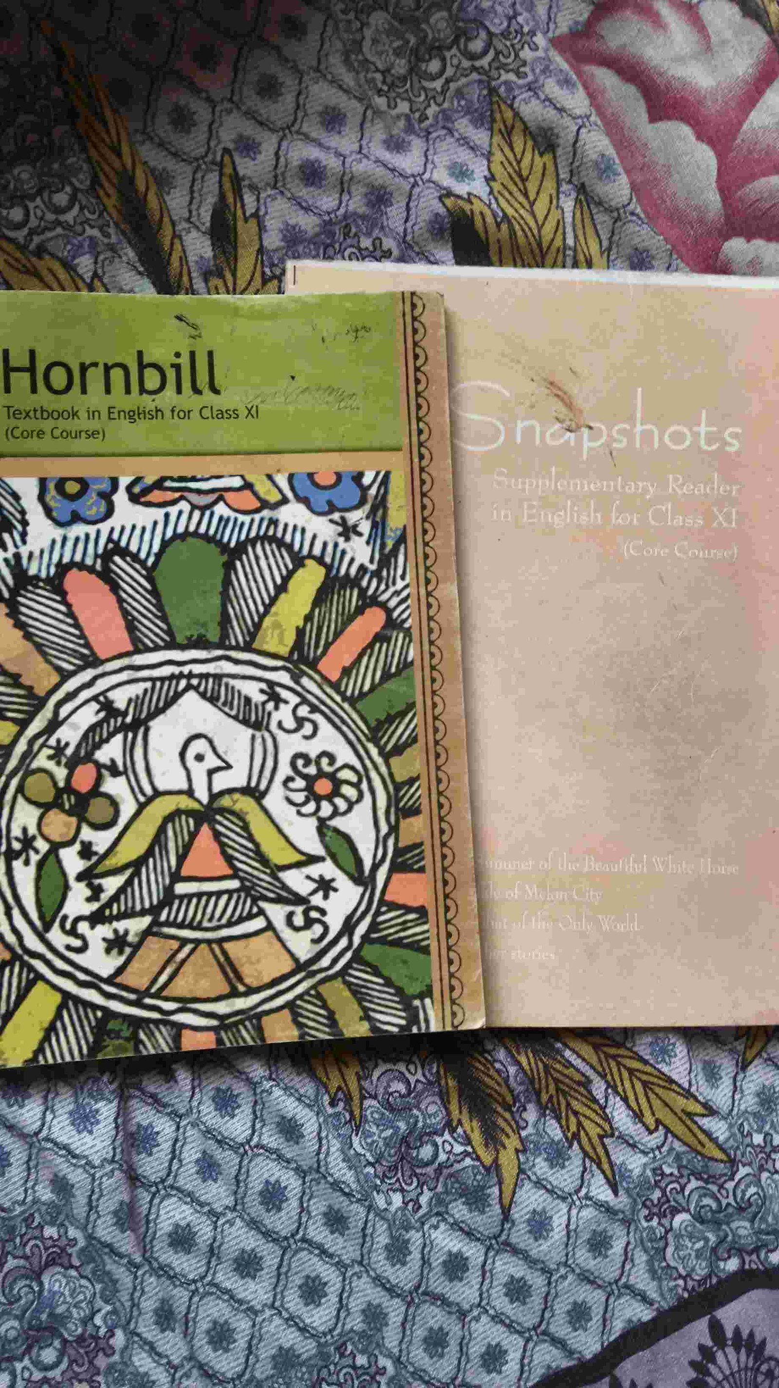 Class 11 english ncert books(hornbill+snapshot) - Second Hand - Bookaao