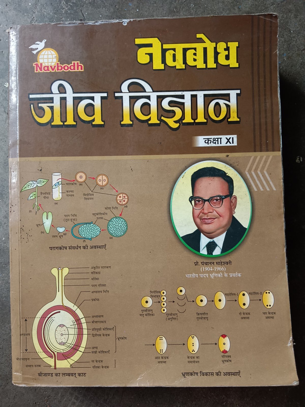 Buy Second Hand Class 11th biology book (navbodh) cg. board in Bilaspur - Bookaao