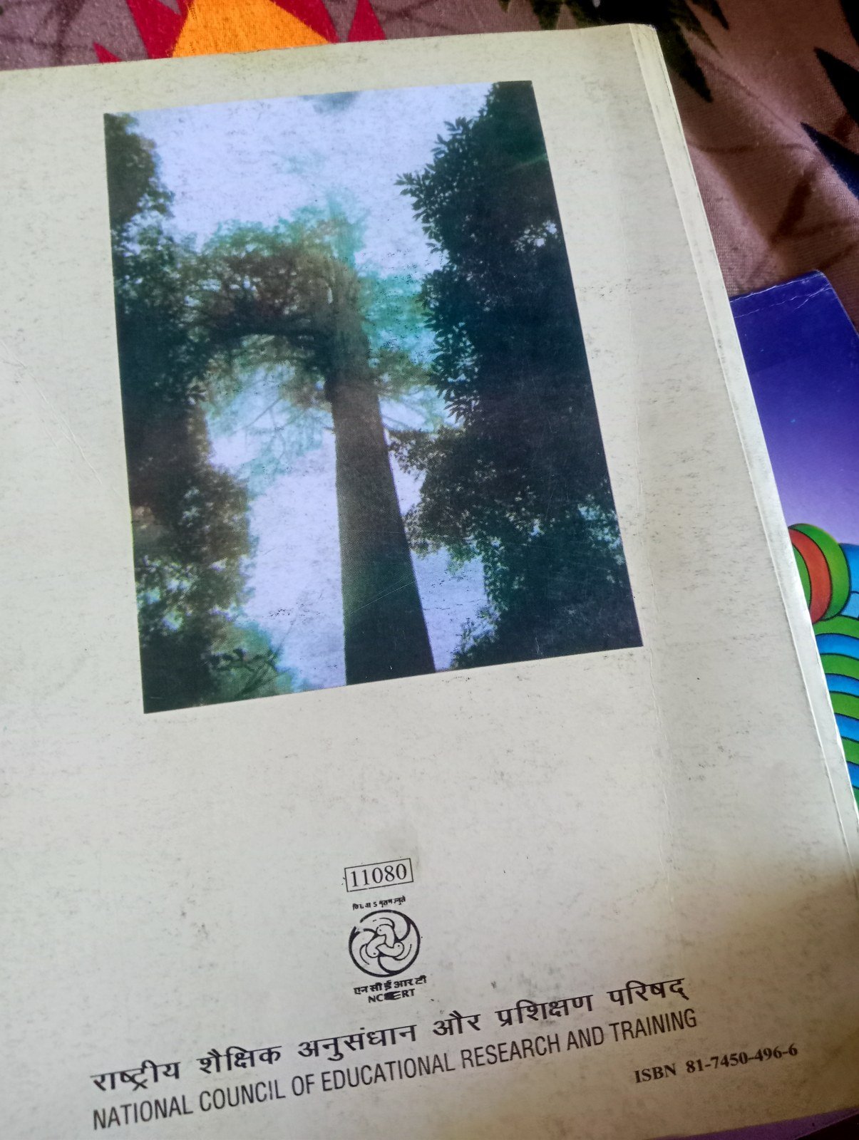 Photo 4