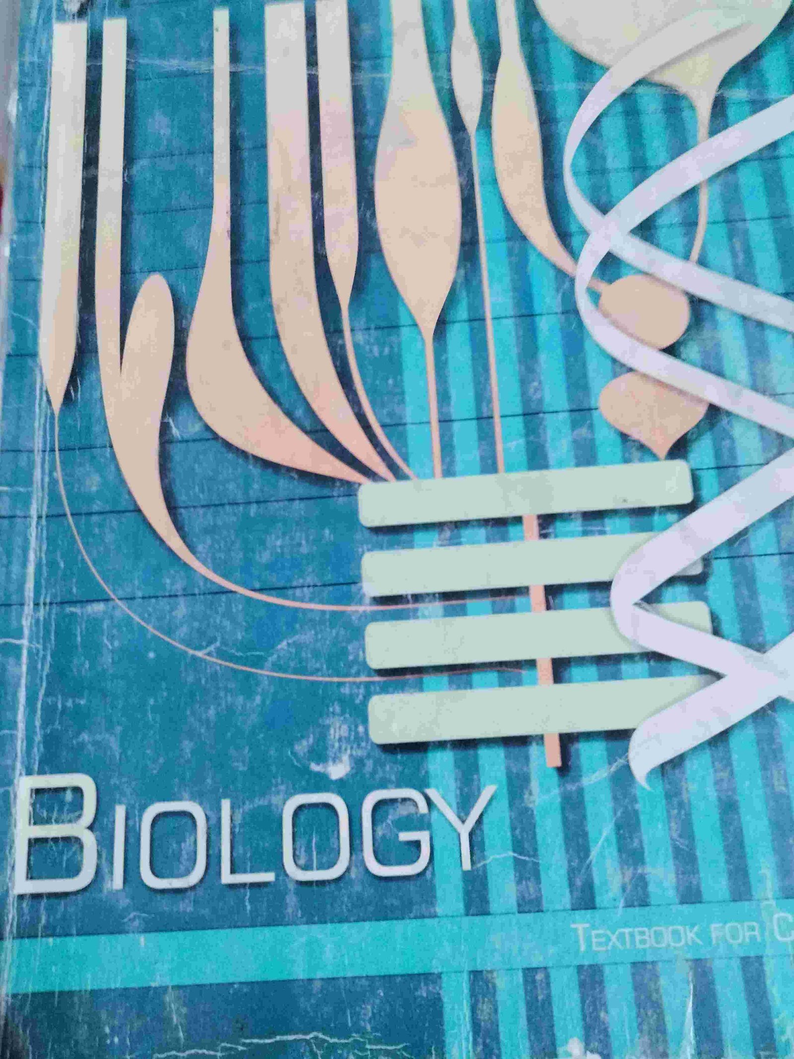 CLASS 12TH BIOLOGY NCERT BOOK - Second Hand - Bookaao