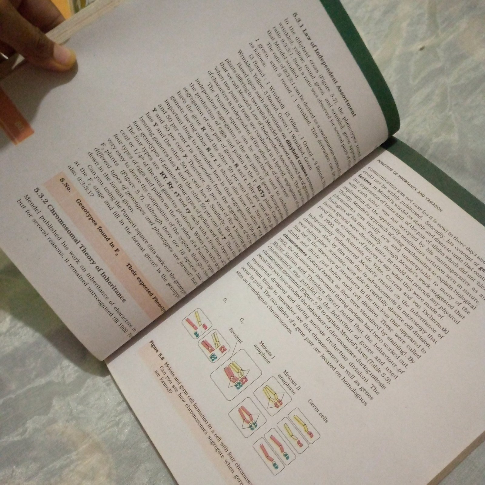 Photo 3