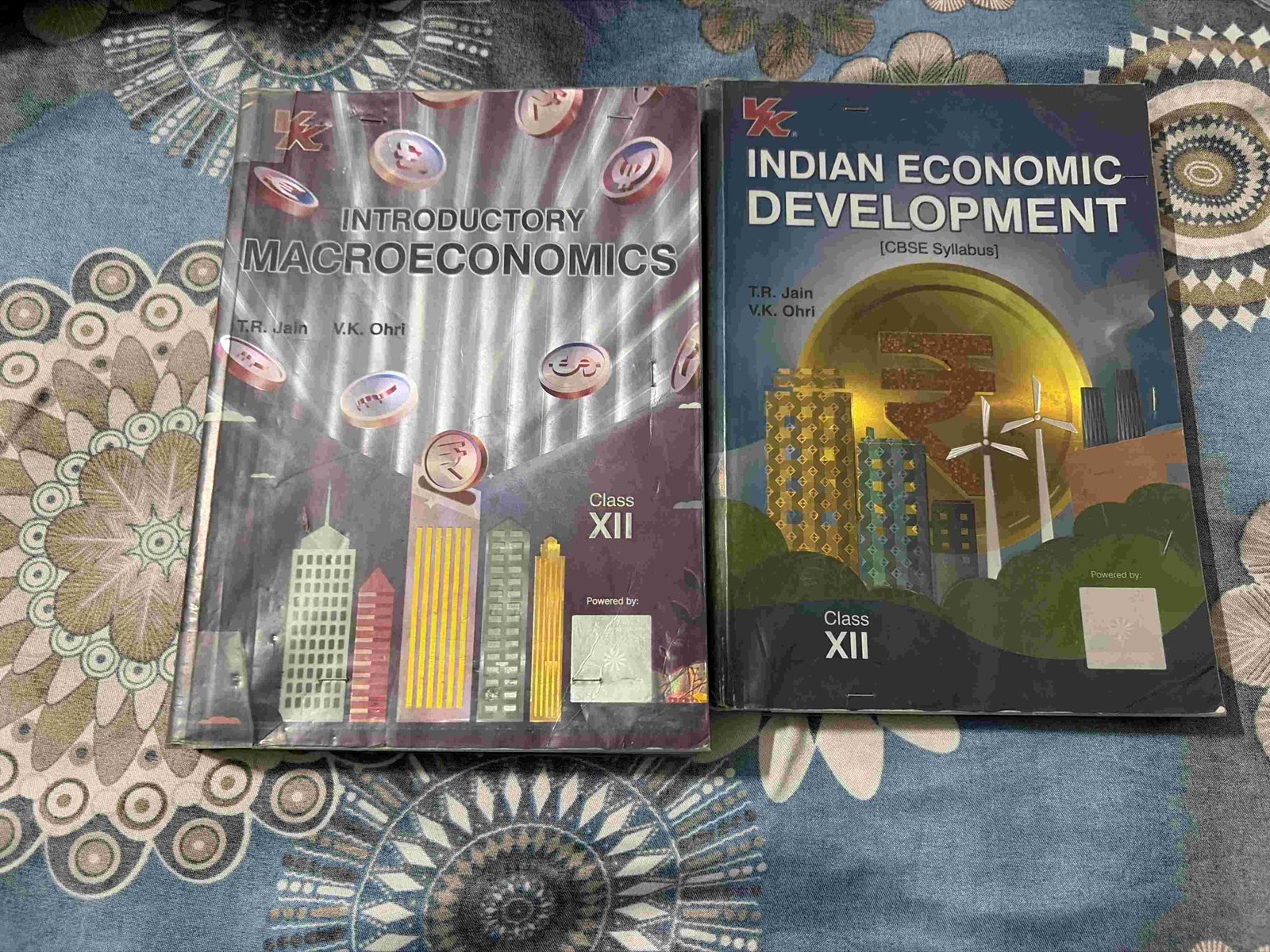 Buy Second Hand Class 12th commerce economics in Ardawata - Bookaao