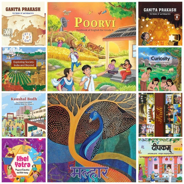 CLASS 8 ALL BOOKS COMBO NCERT - Second Hand - Bookaao