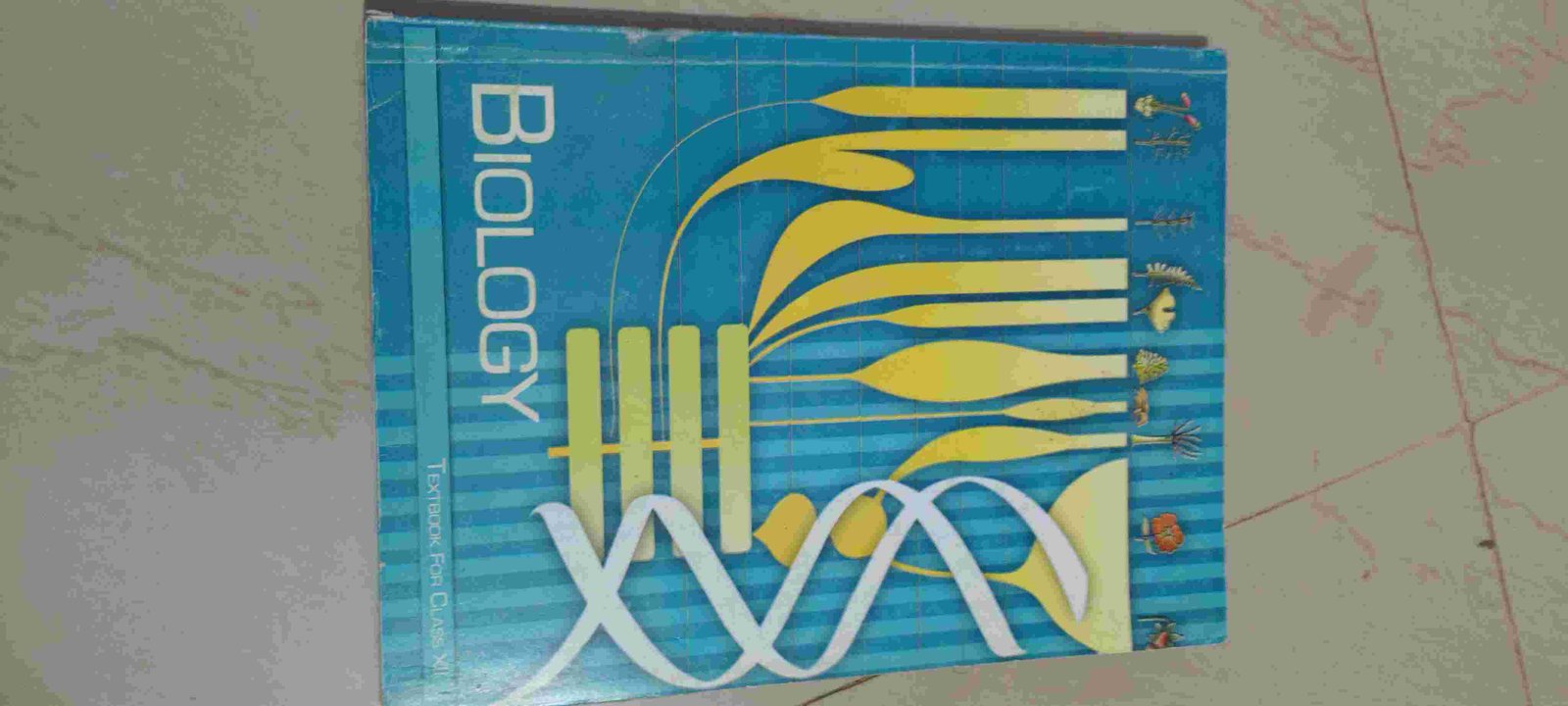 Class Xii NCERT Biology - Second Hand - Bookaao