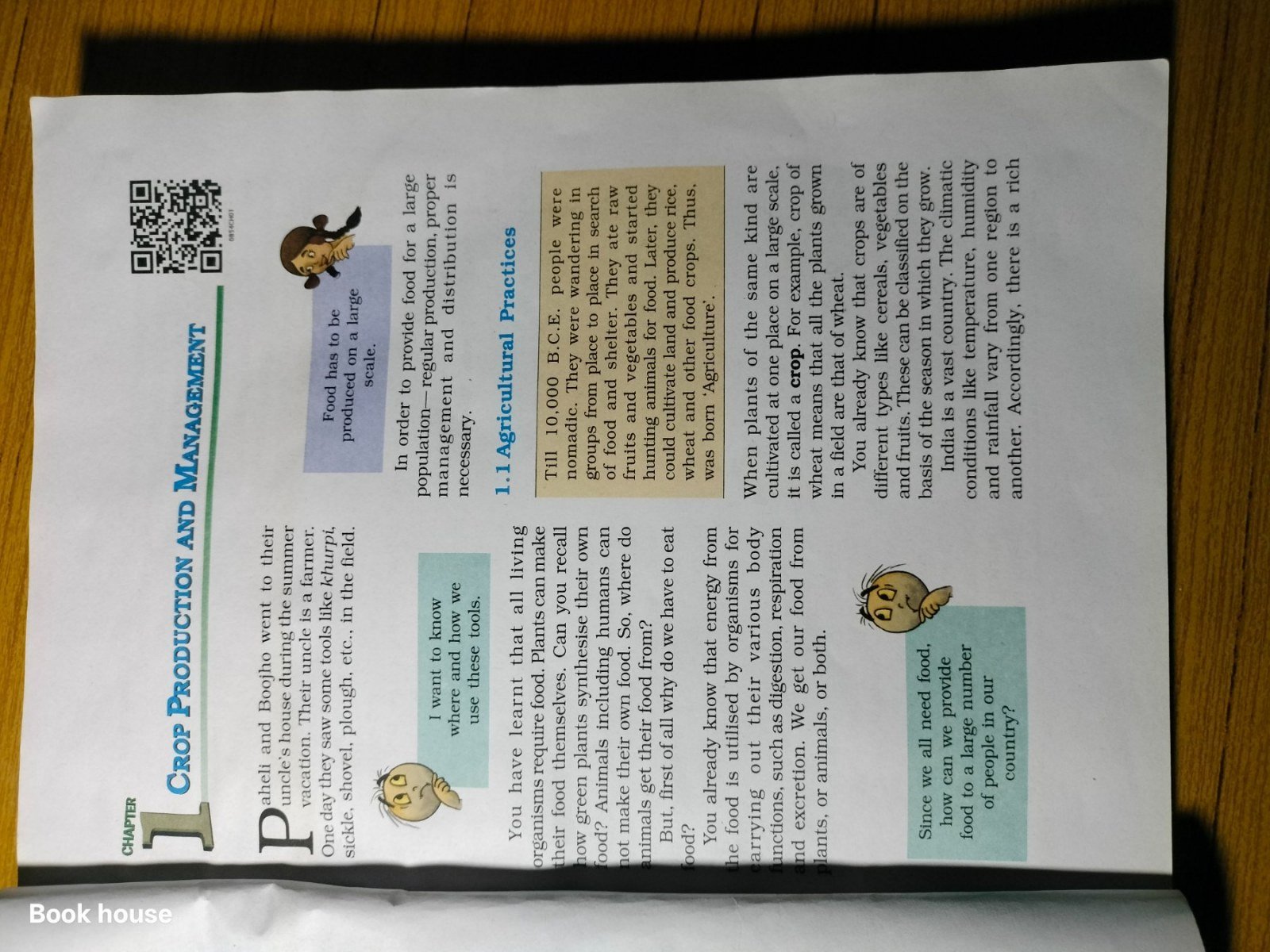 Photo 5