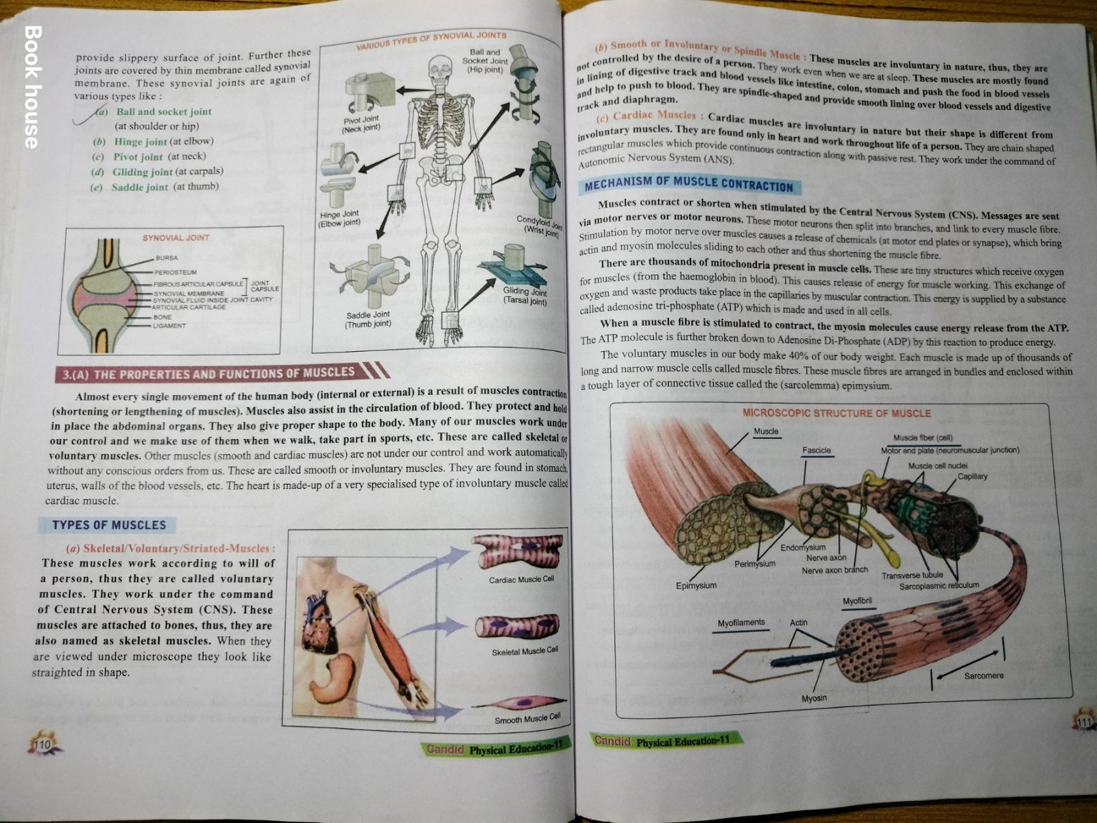 Photo 5
