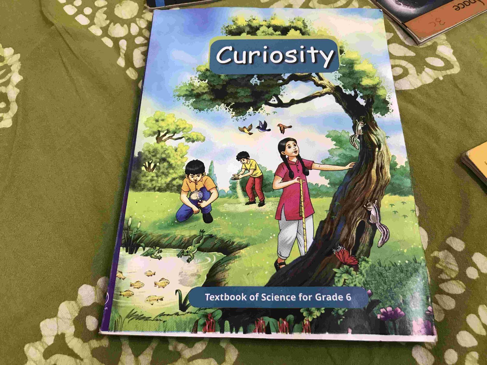 Curiosity- Textbook Of Science for Grade 6. - Second Hand - Bookaao