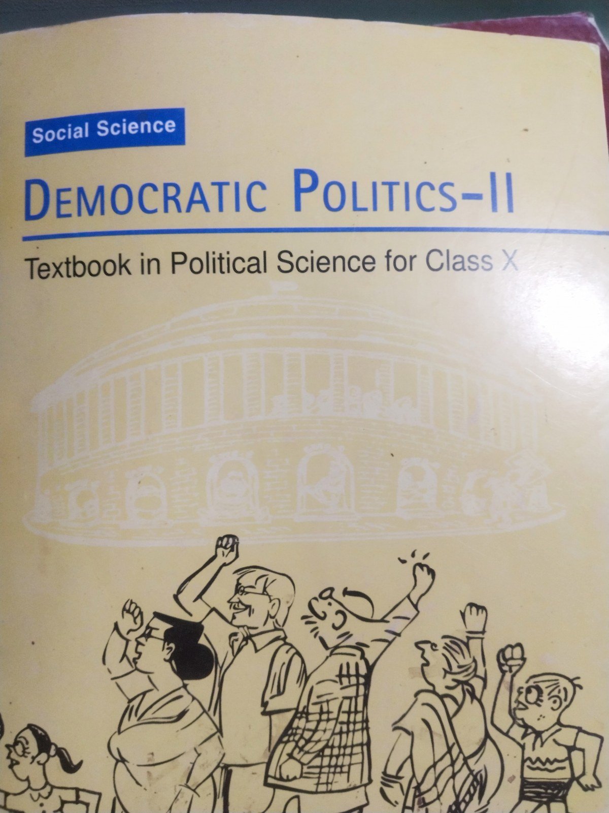 Buy Second Hand DEMOCRATIC POLITICS - II in kushinagar - Bookaao