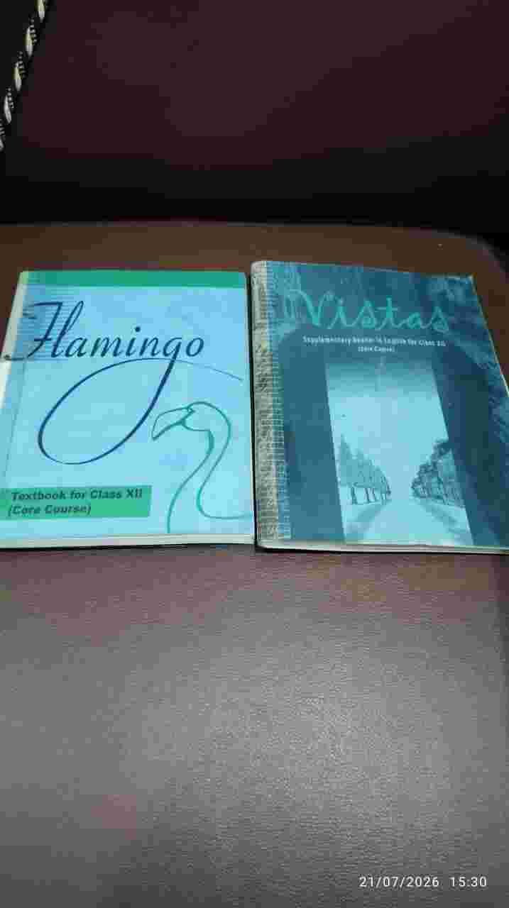 Flamingo and vistas class 12th english - Second Hand - Bookaao