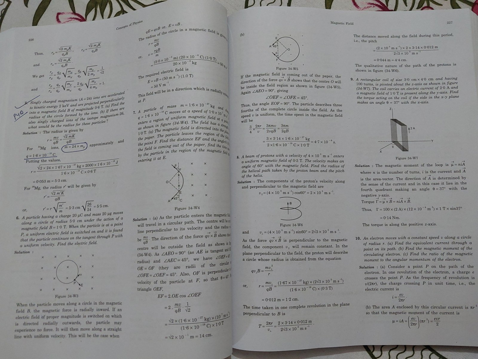 Photo 4