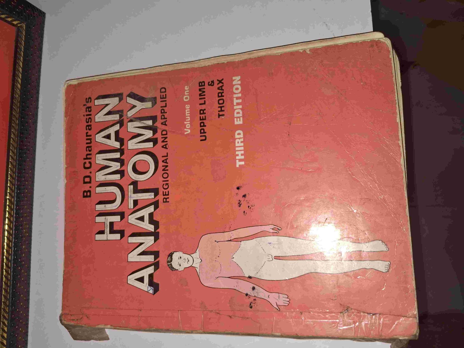 Human Anatomy- Upper Limb & Thorax - Second Hand - Bookaao