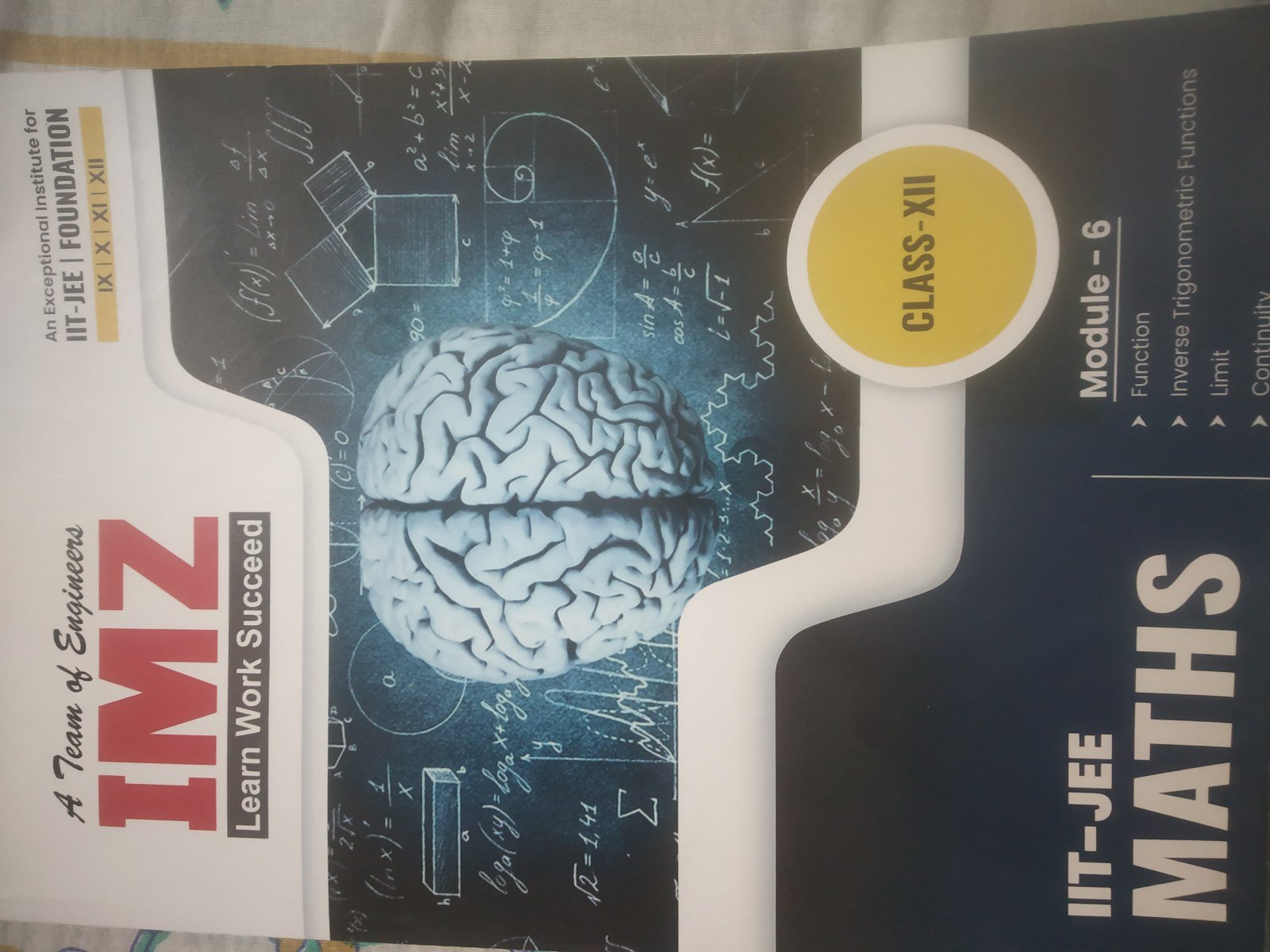 IMZ maths class 12 coaching modules( total 5) - Second Hand - Bookaao