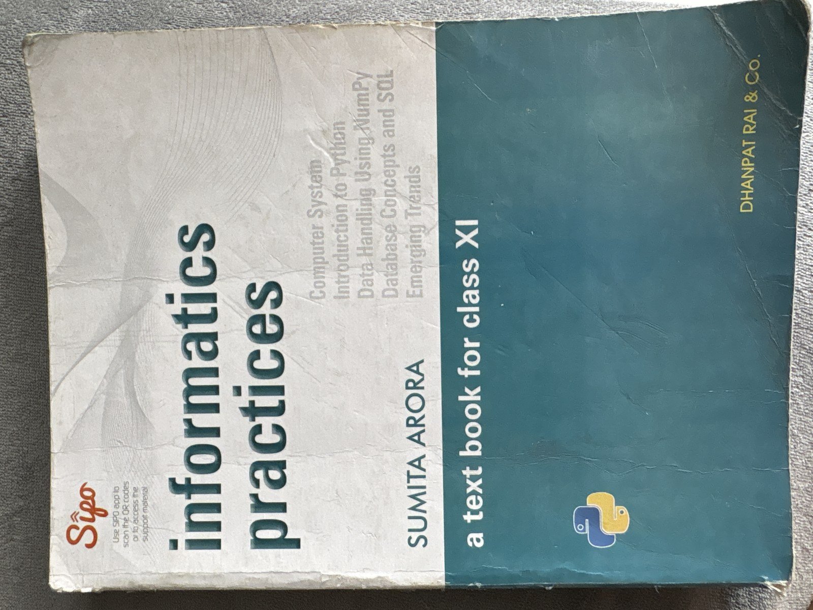 Informatics Practice Class 11 - Second Hand - Bookaao