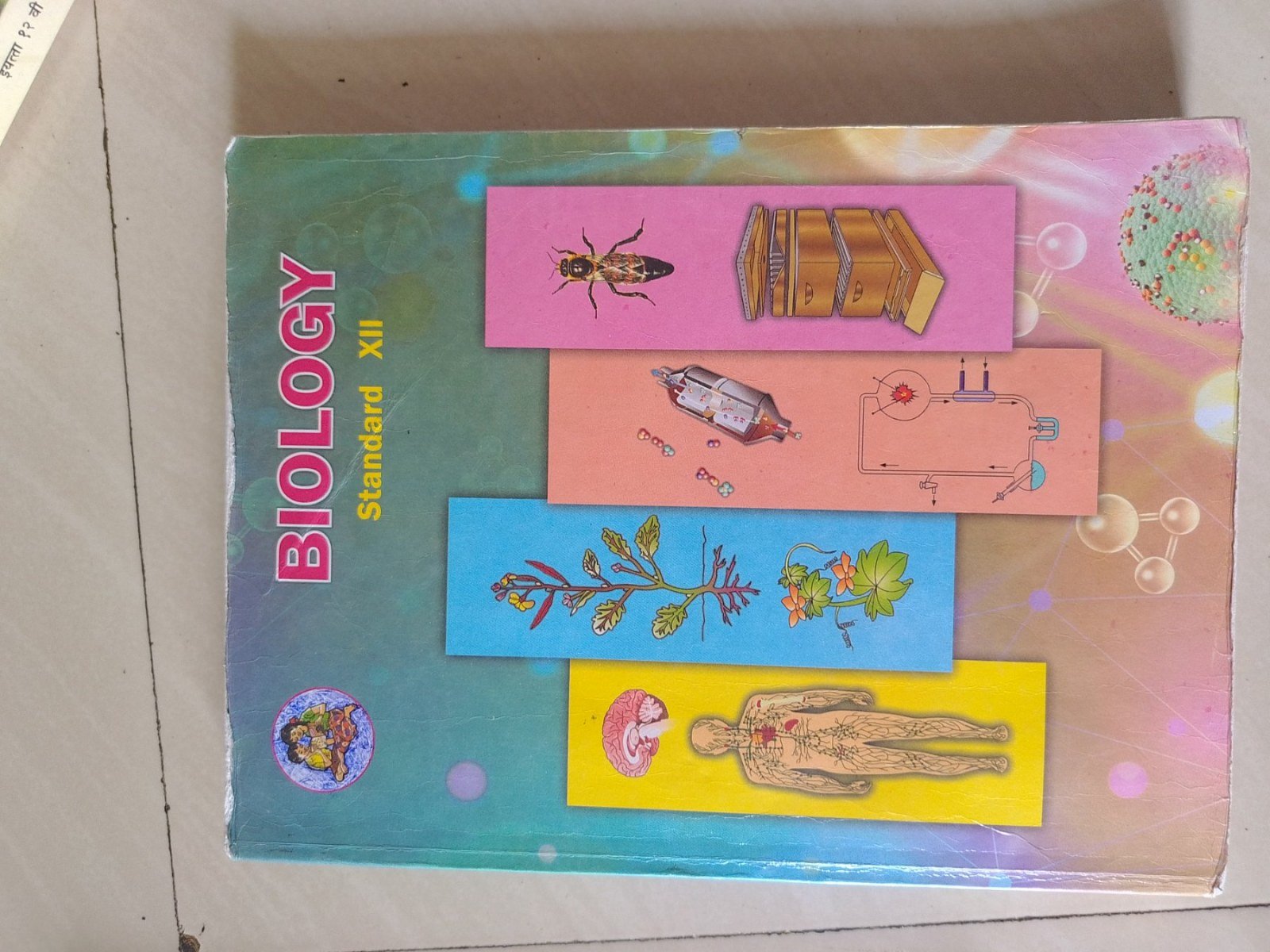 Maharashtra State Board textbooks - 2nd Hand Book - Bookaao
