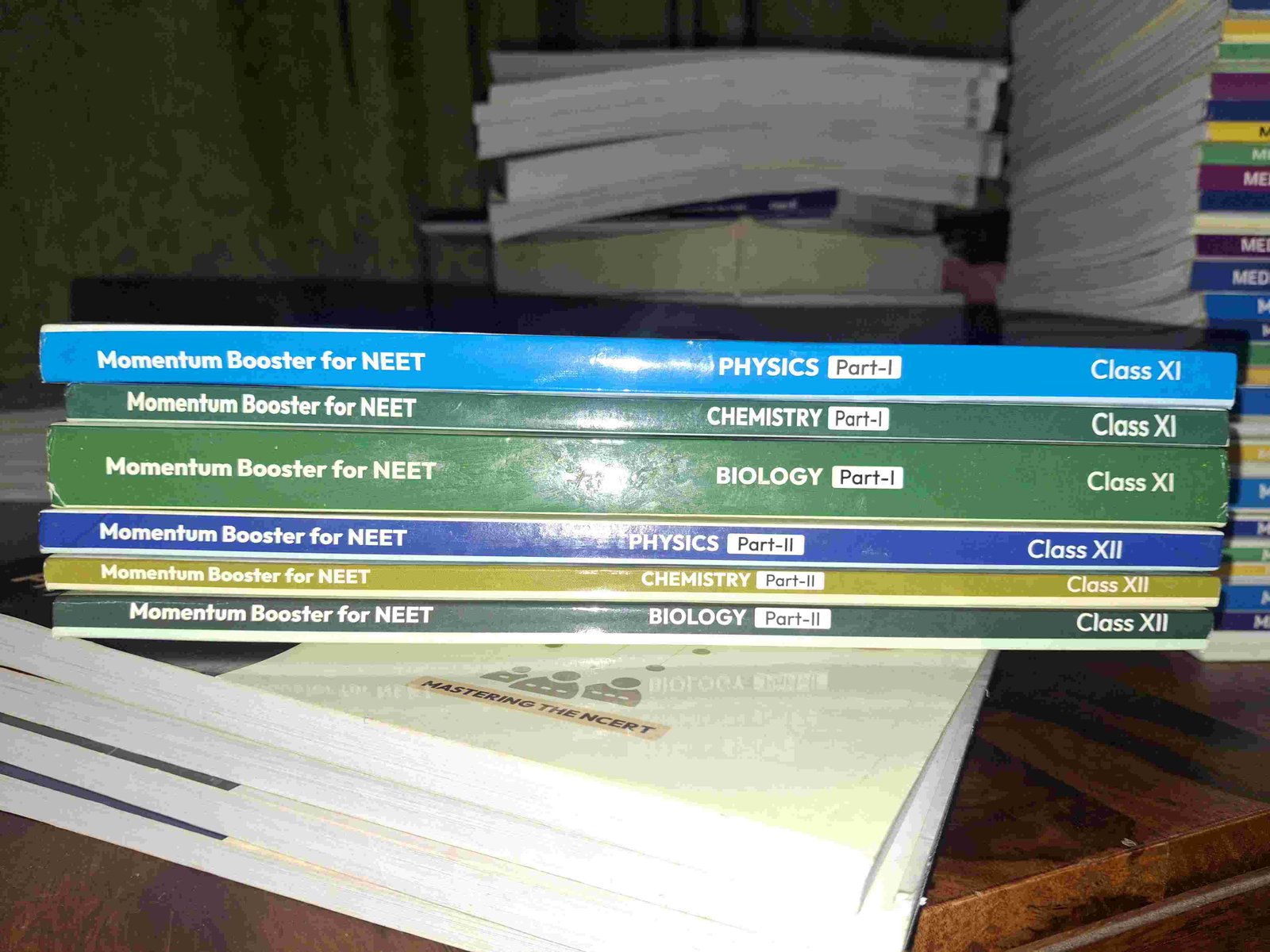 Momentum Booster (Part 1 + Part 2, All Subjects) - Second Hand - Bookaao
