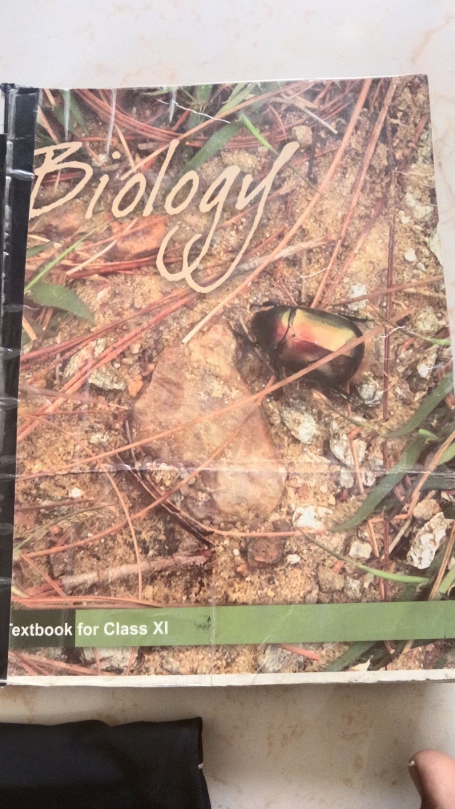 NCERT biology  11 old ncert with all chapters - Second Hand - Bookaao