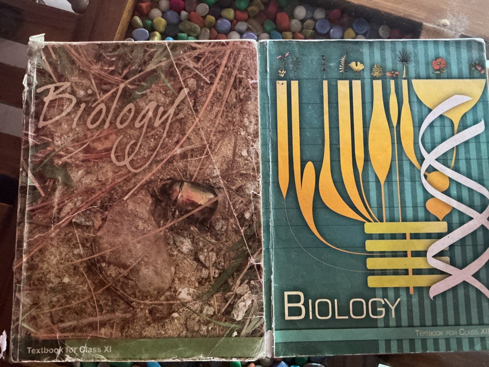 NCERT BIOLOGY CLASS 11 + 12 - Second Hand - Bookaao