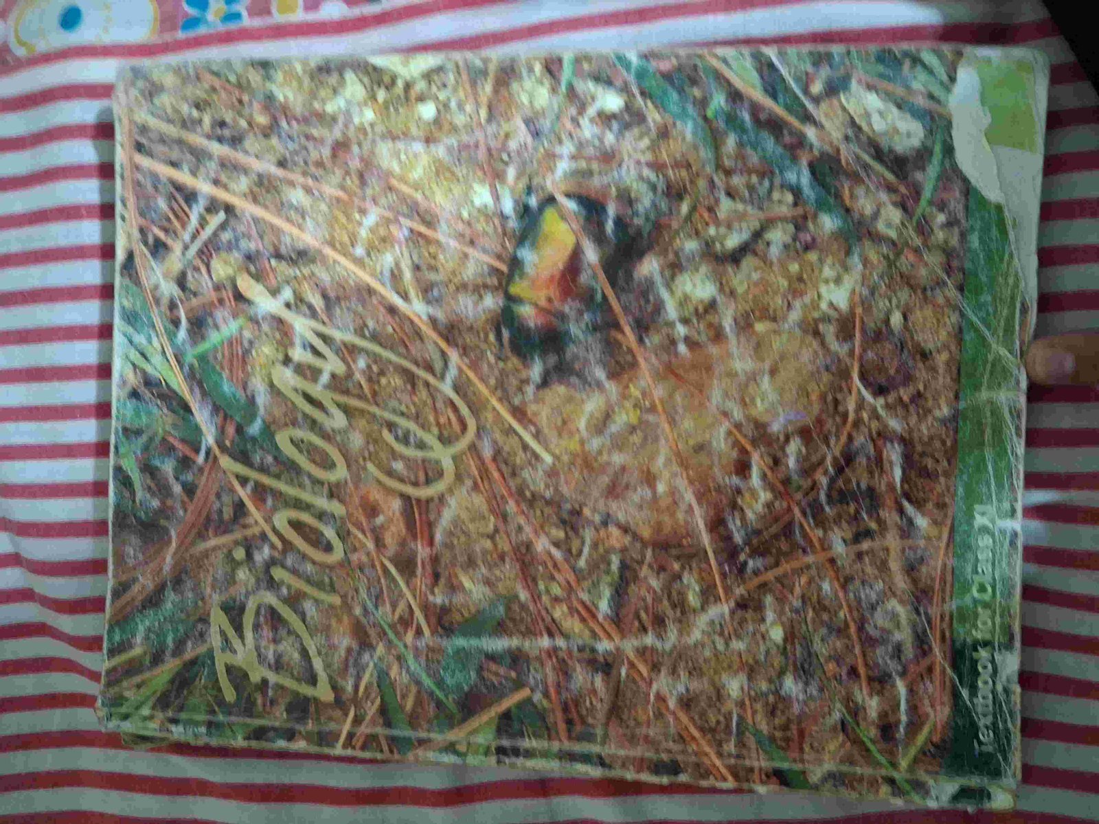 Ncert biology - Second Hand - Bookaao