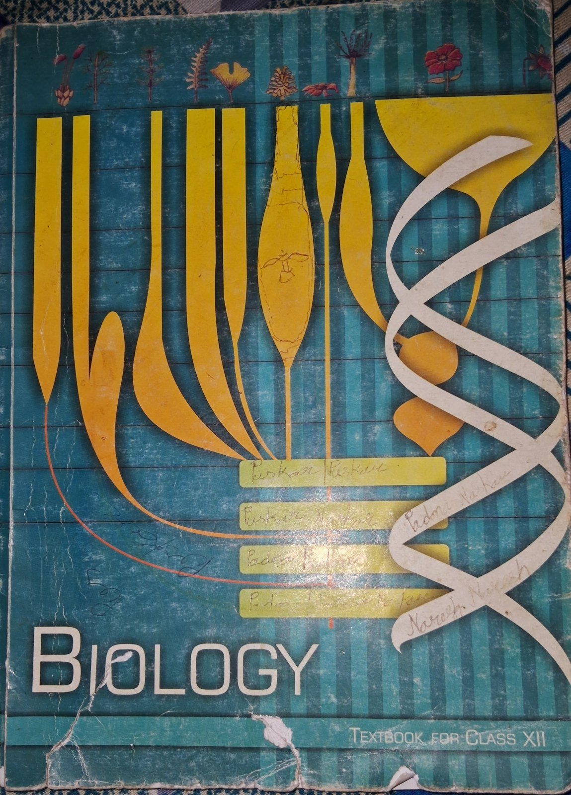 Ncert class 12 biology - 2nd Hand Book - Bookaao