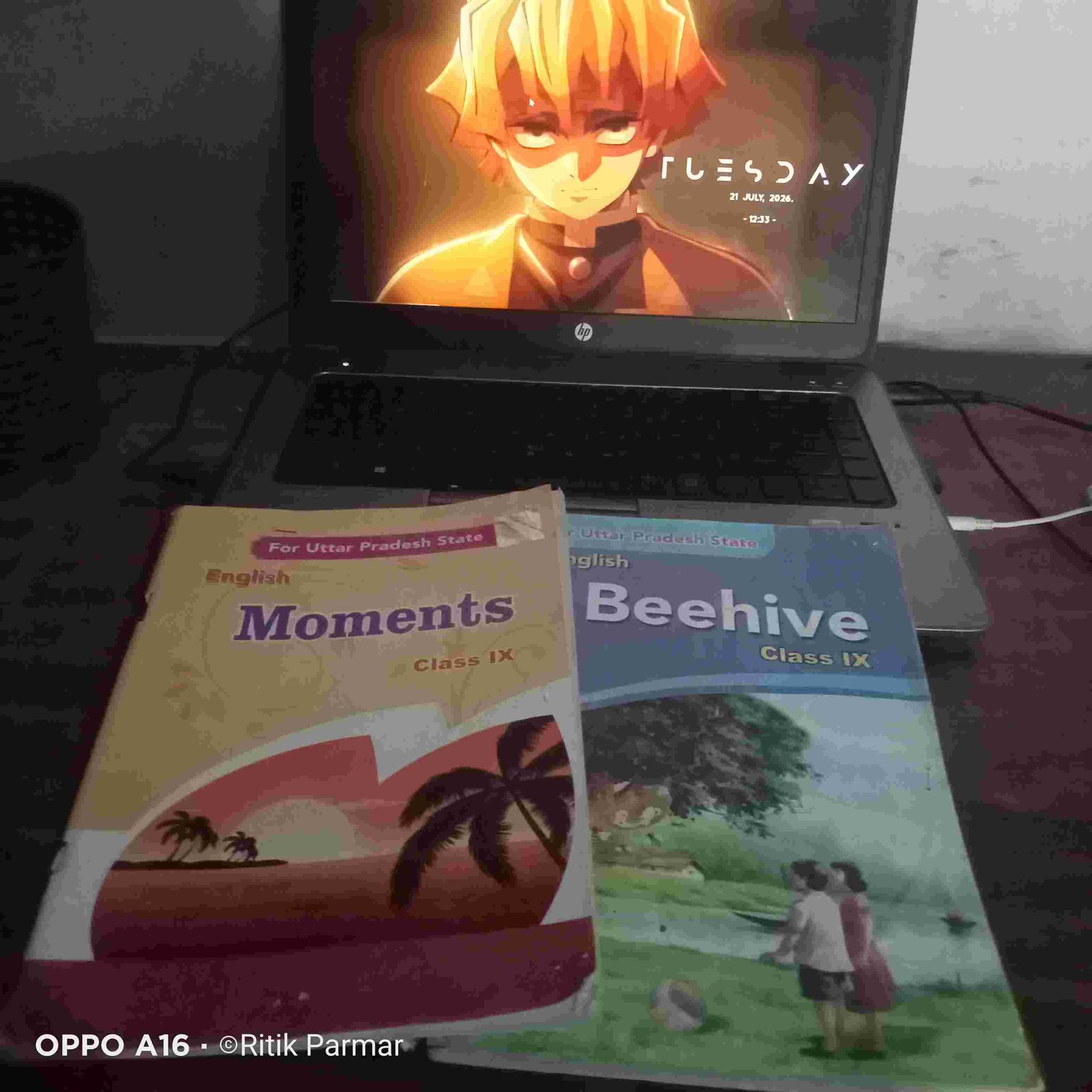 Ncert English class class 9th both part - Second Hand - Bookaao