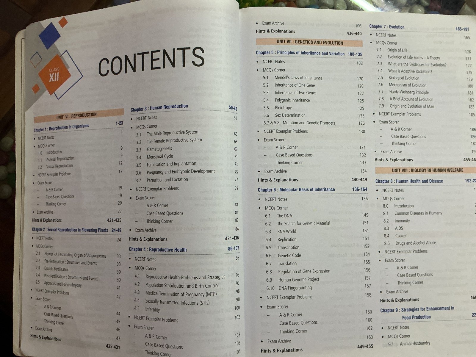 Photo 5