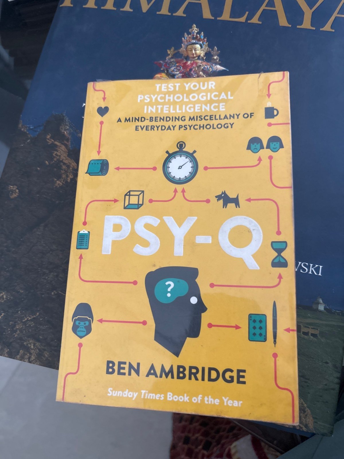 Buy Second Hand PSY Q in Greater Noida - Bookaao