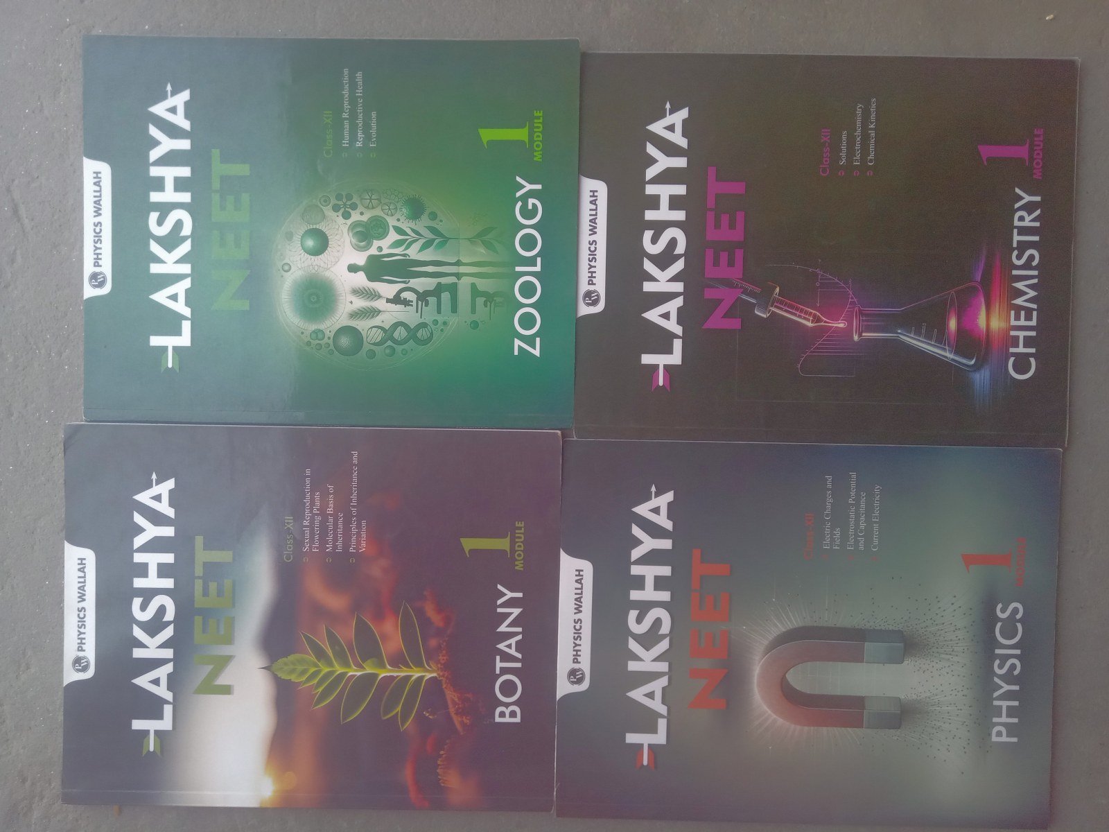 PW(PHYSICS WALLAH) NEET modules class12th( 2025 ) - Second Hand - Bookaao