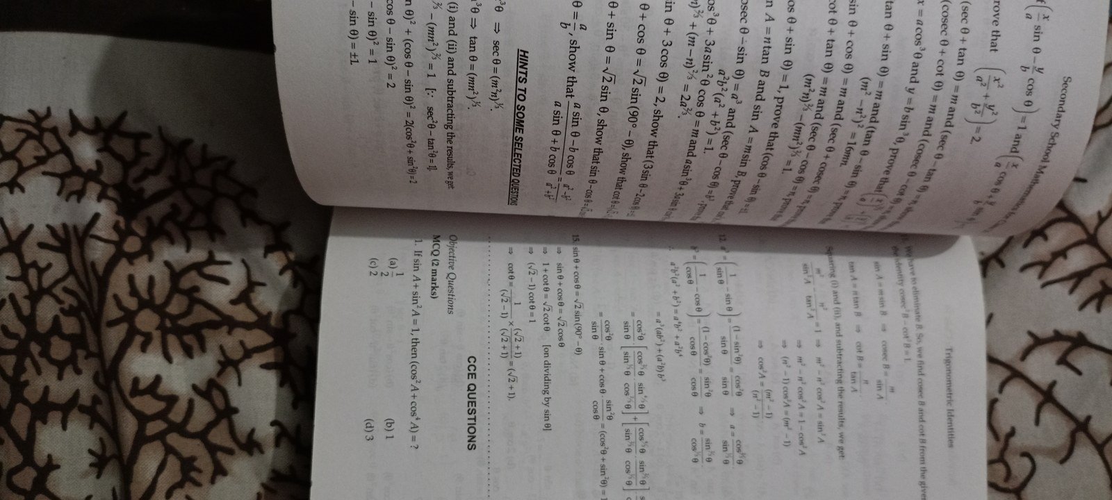 Photo 3