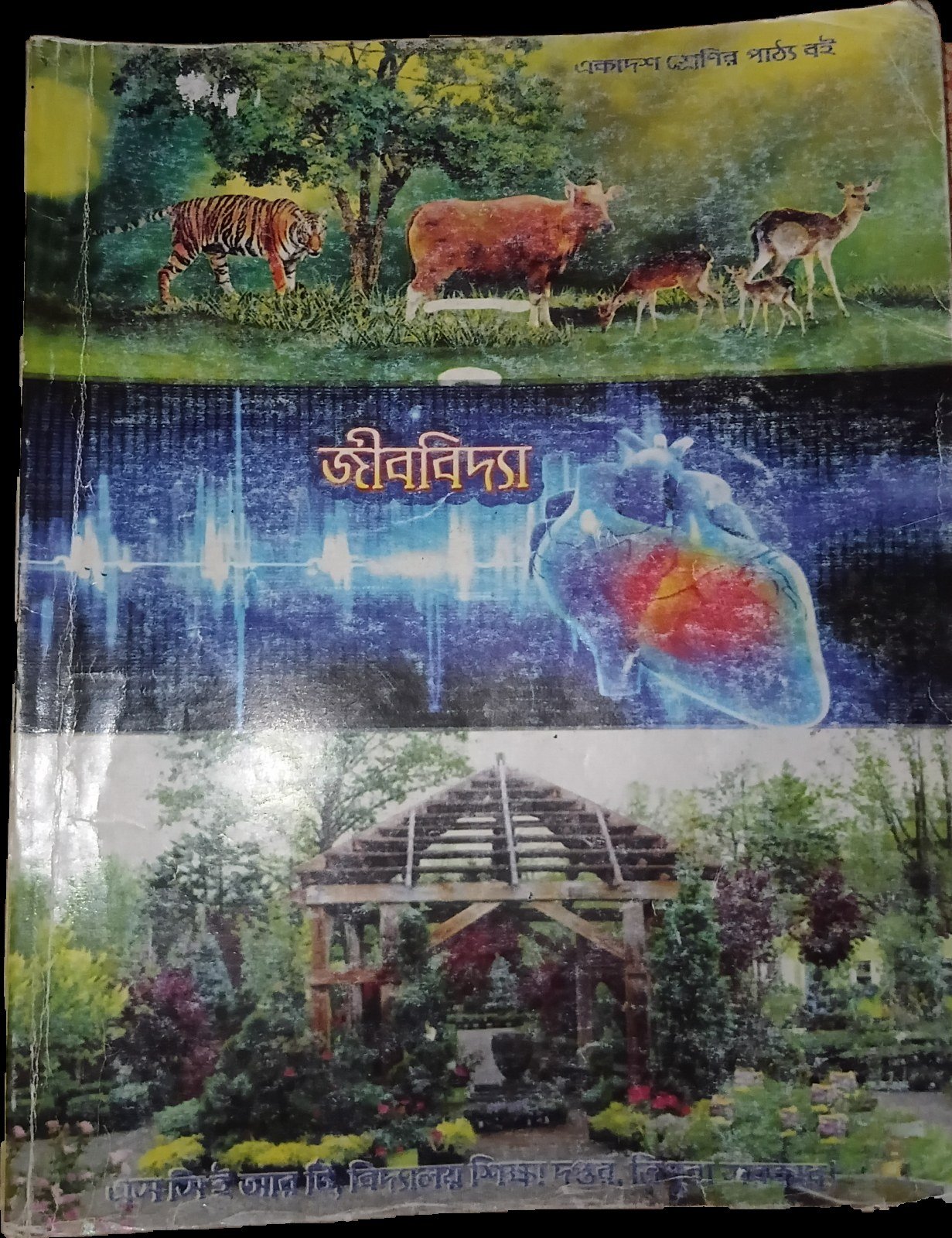 Buy Second Hand SCRET Biology class 11 in Coochbehar,  Baishguri - Bookaao