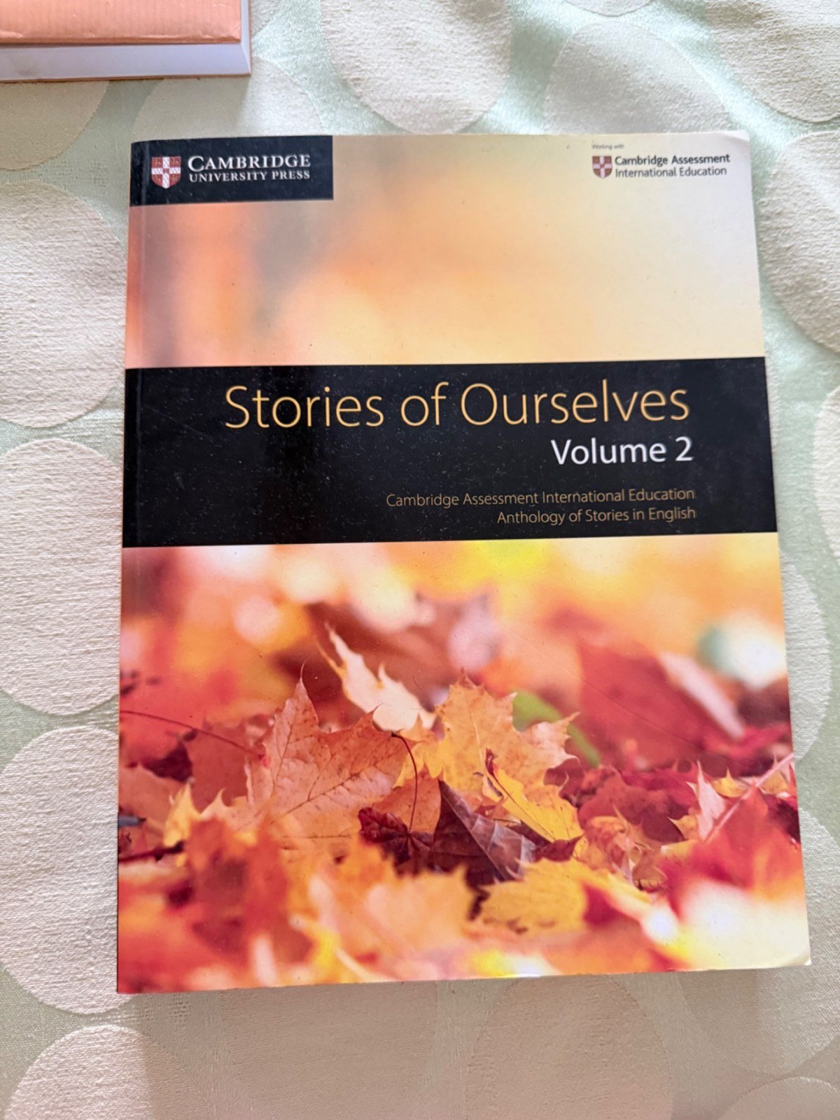 Stories of ourselves(volume 2) - New Book - Bookaao