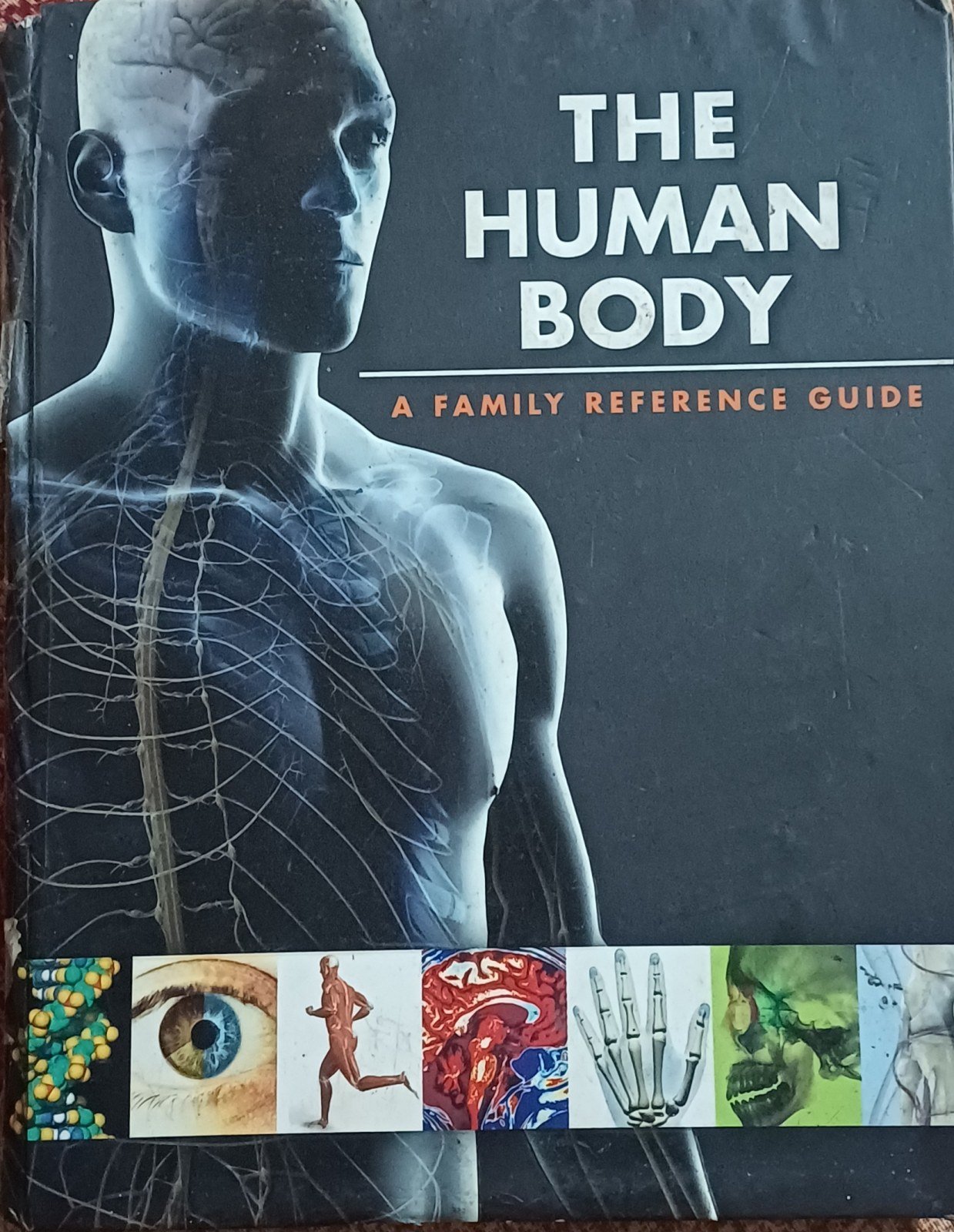 The Human Body  A Family Reference Guide - Second Hand - Bookaao