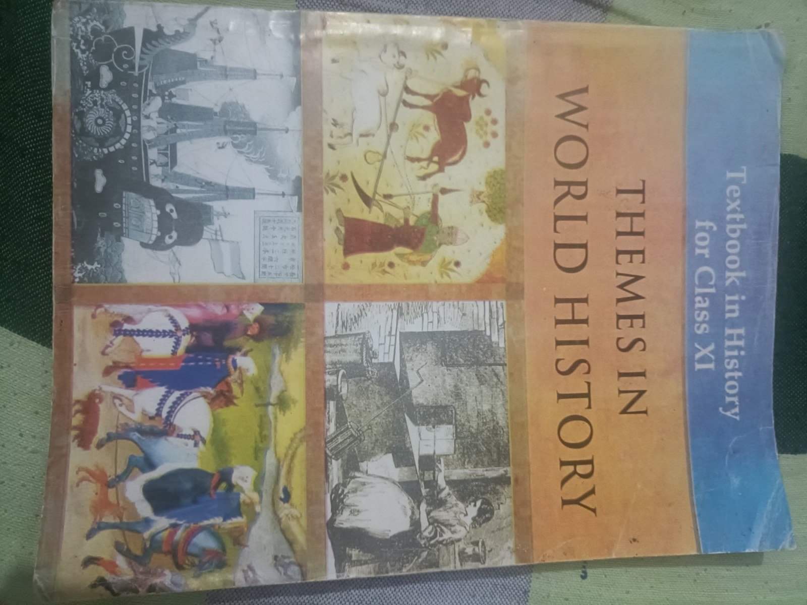 THEMES IN WORLD HISTORY - 2nd Hand Book - Bookaao