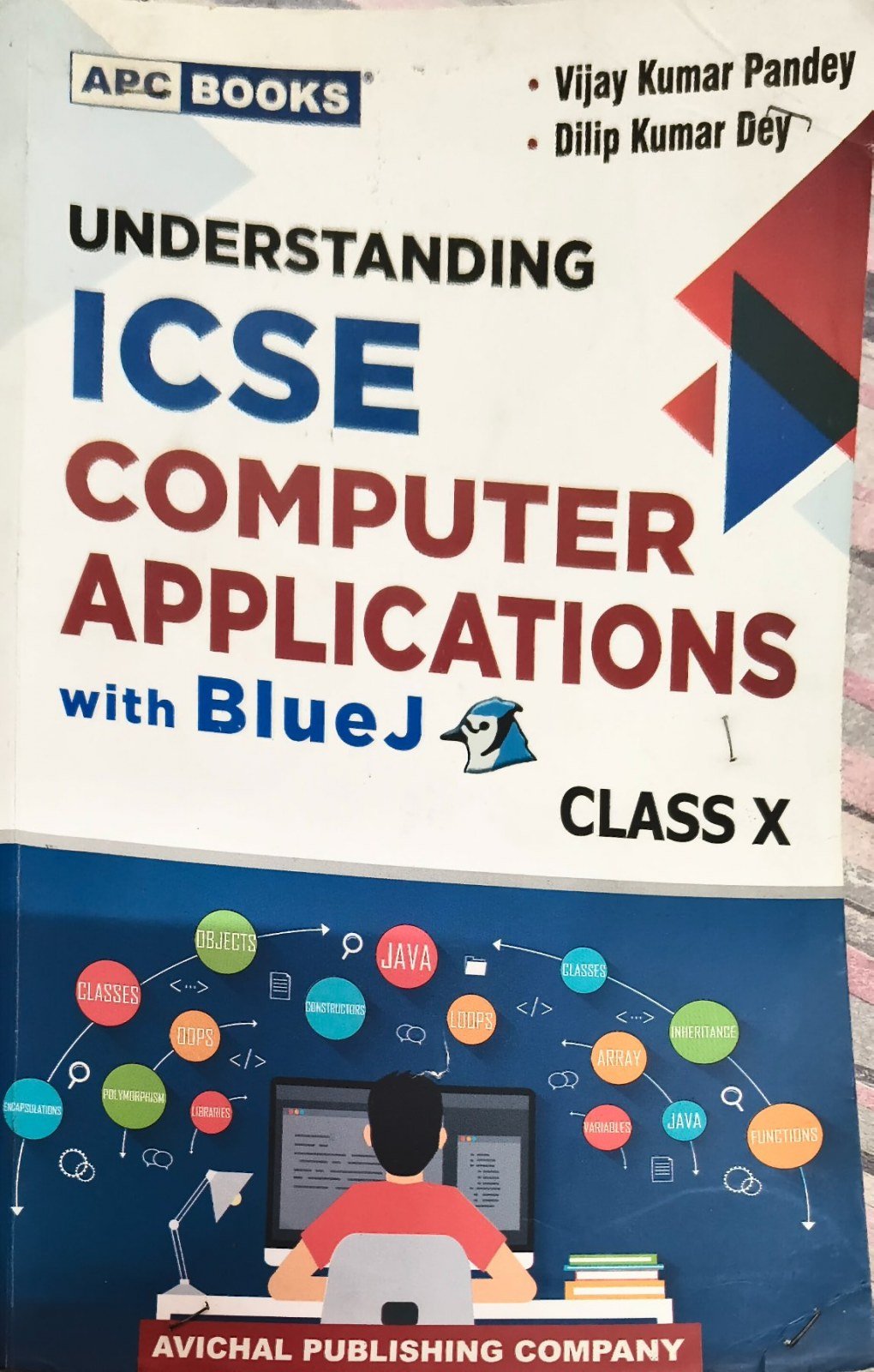 Understanding ICSE Computer Applications with Blue - Second Hand - Bookaao