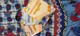 Allen institute booklets  short notes - new