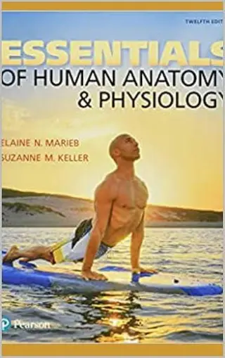 Essentials of Human Anatomy and Physiology by Suza