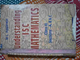 Understanding mathematics